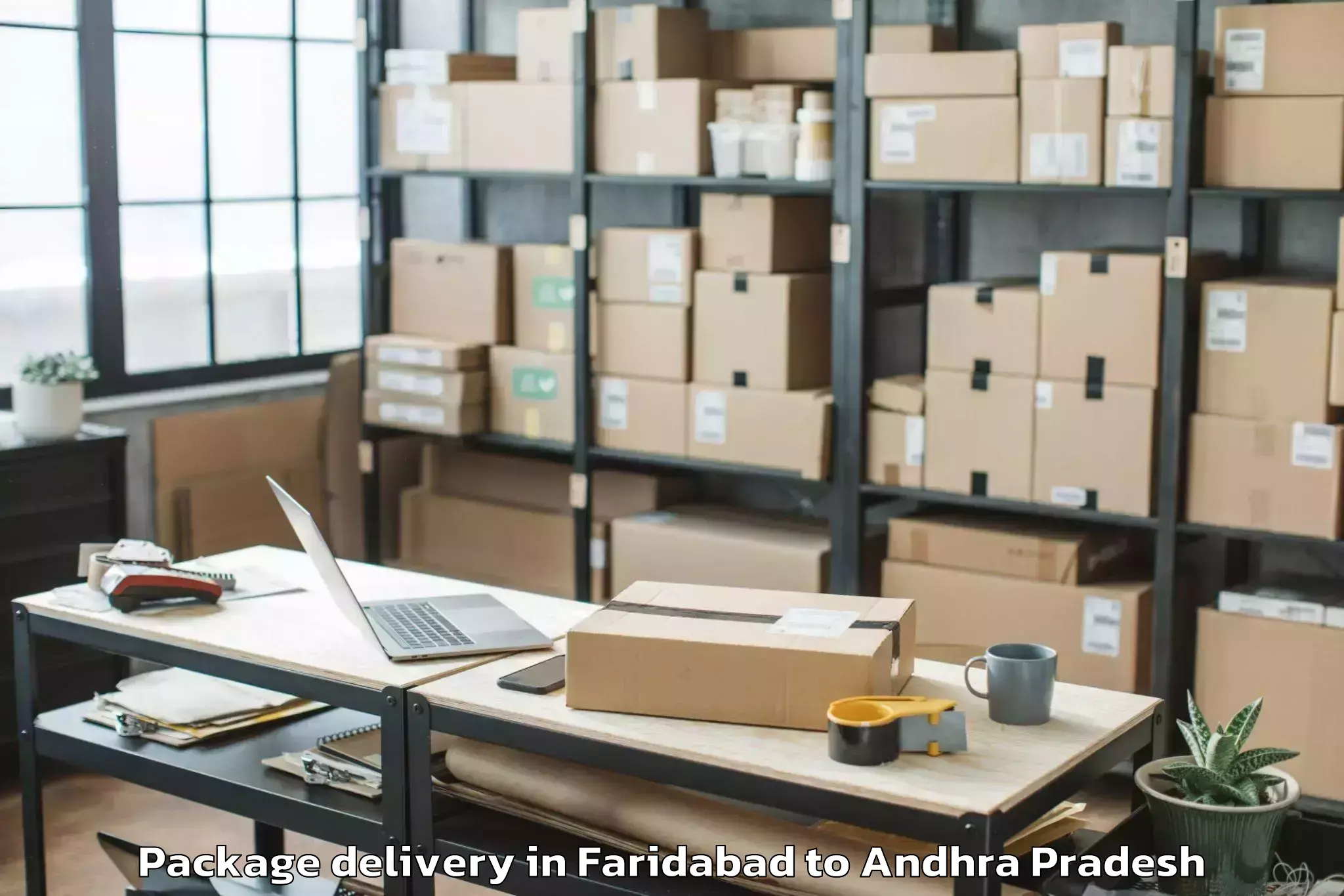 Professional Faridabad to Kamavarapukota Package Delivery